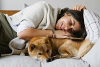 dog with owner indoors